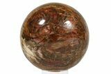 Massive, Petrified Wood (Araucaria) Sphere - lbs! #280468-1